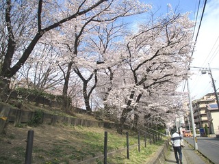 IMG_3908no2.JPG