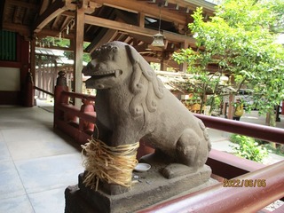 IMG_4648no2.JPG