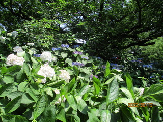 IMG_5044.JPG