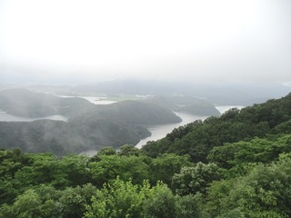 IMG_5595no2.JPG