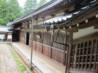 IMG_5716no2.JPG