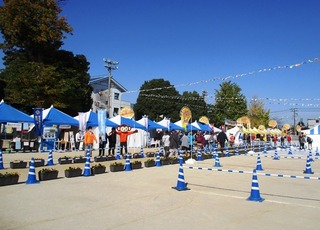 IMG_6762no2.JPG