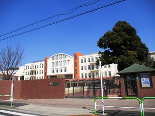 IMG_7787no2.JPG