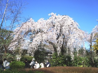 IMG_8044no2.JPG