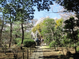 IMG_8077no2.JPG