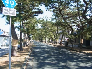 RIMG02130411.jpg