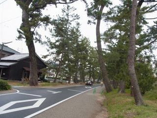 RIMG03300650.jpg