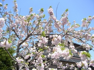 RIMG04190049.jpg