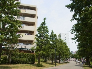 RIMG06070779.jpg